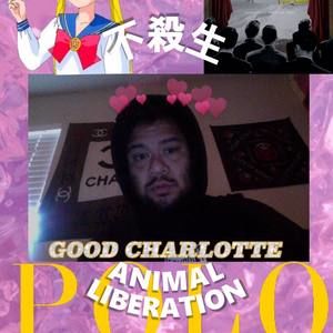 Meet your Posher, Nicholas